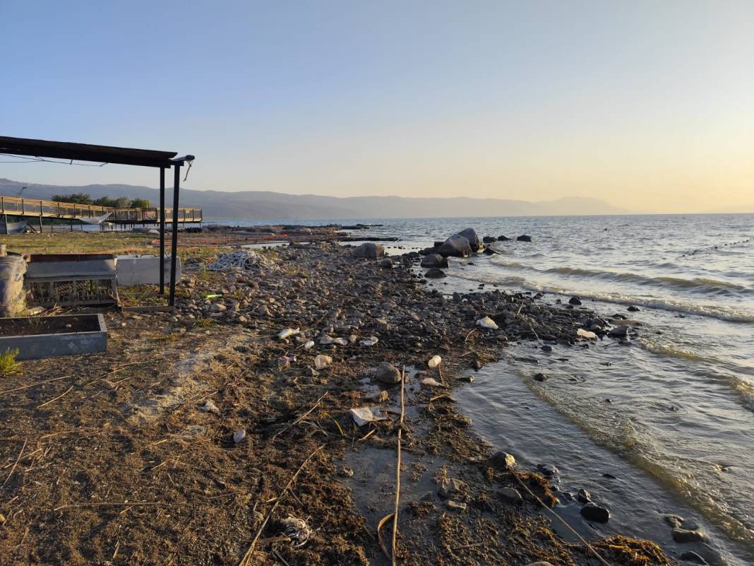 İznik Gölü kıyısında tedirgin eden manzara! Ölü balıklar endişe yarattı: Görüntüler turistleri şaşkına çevirdi 7